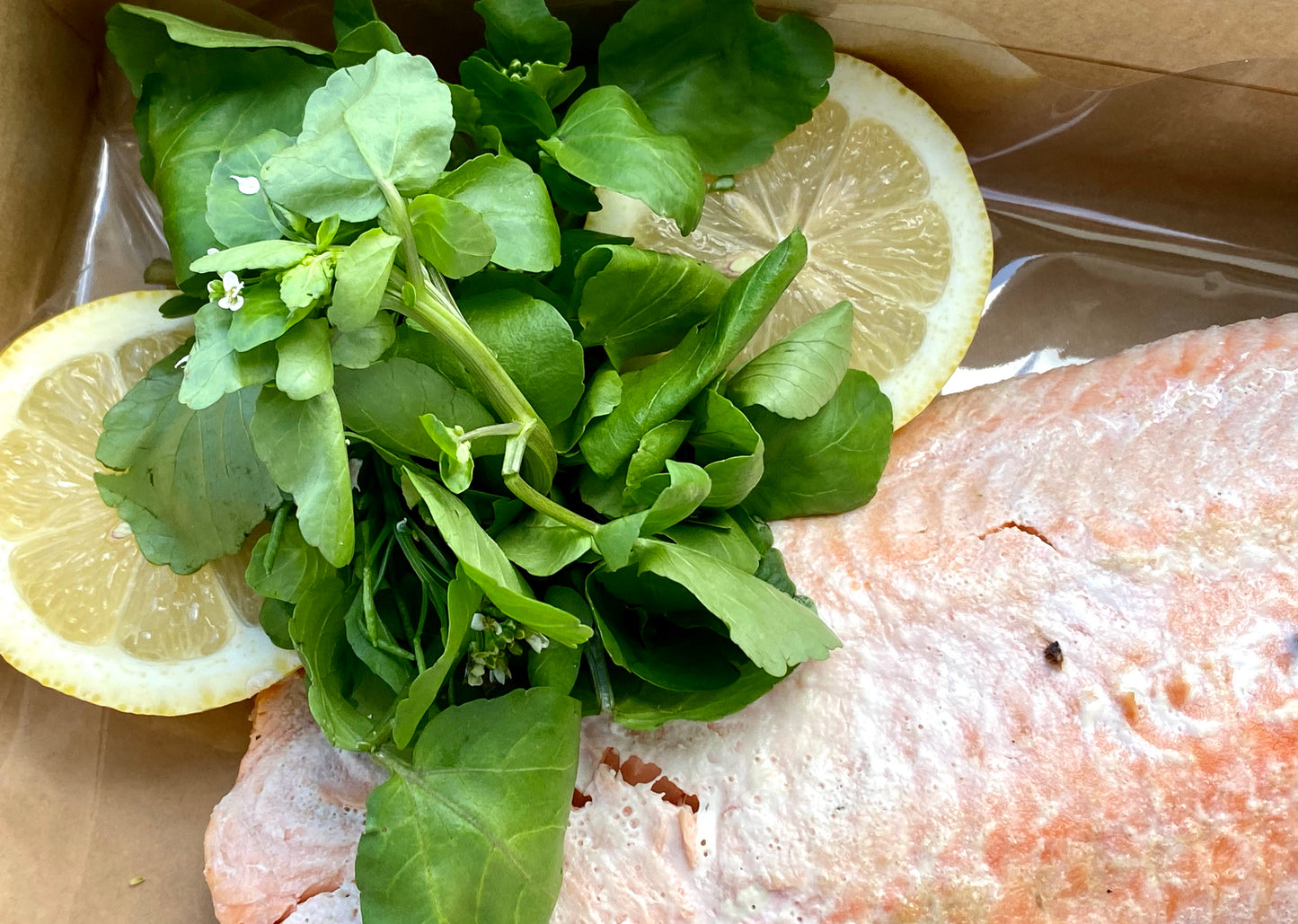Poached Salmon